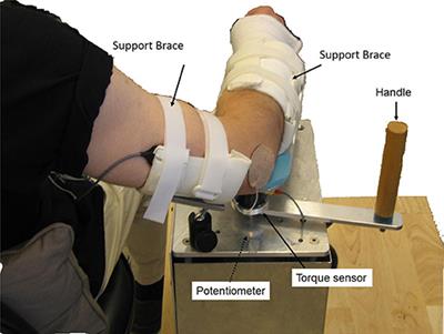 Position as Well as Velocity Dependence of Spasticity—Four-Dimensional Characterizations of Catch Angle